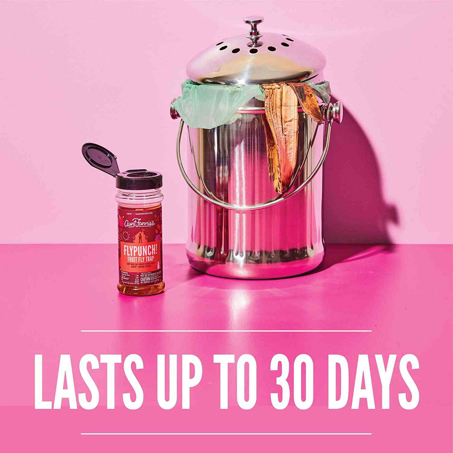 Aunt Fannies FlyPunch - Fruit Fly Trap (3-Pack), Safe & Effective Indoor Solution