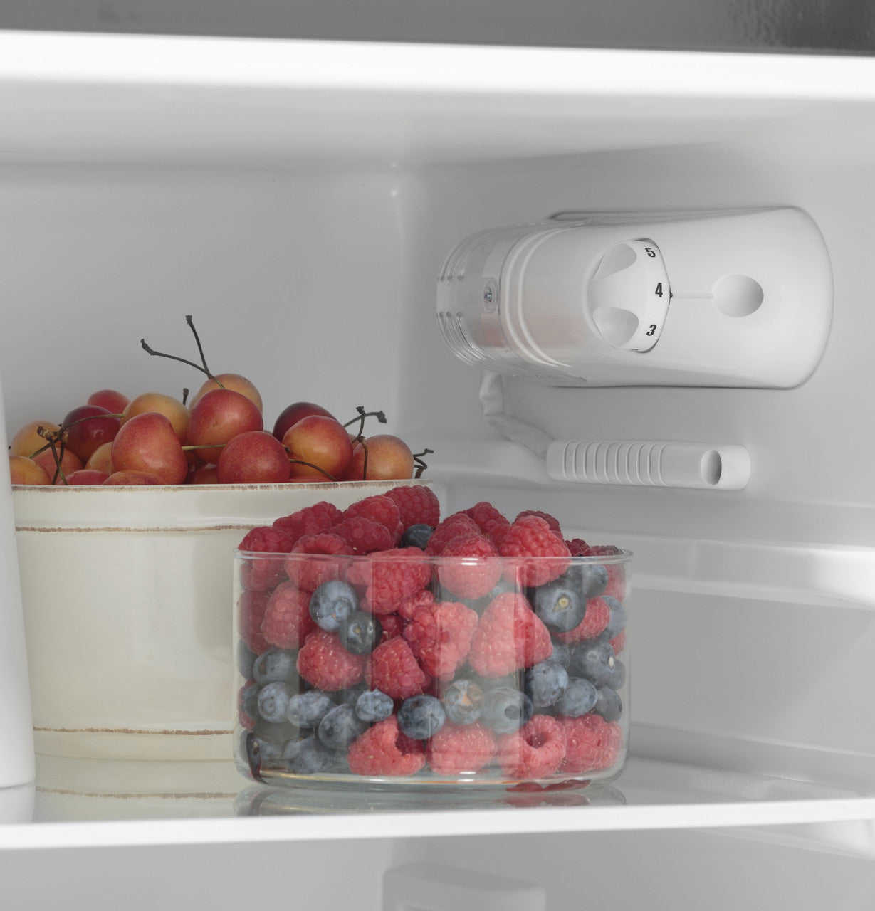 GE Appliances 9.8 Cu. Ft. 12 Volt DC Top-Freezer Refrigerator - Stainless Steel