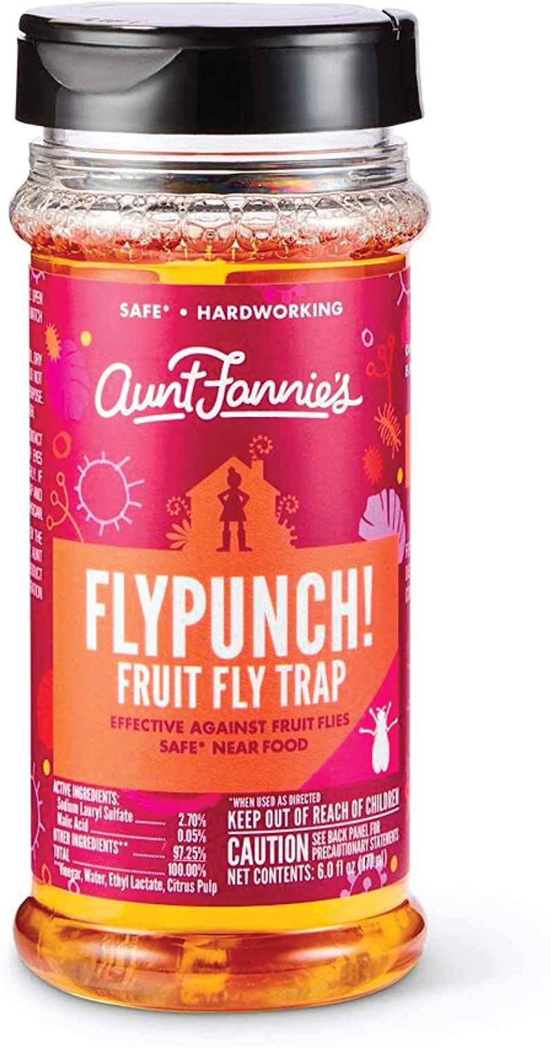 Aunt Fannies FlyPunch - Fruit Fly Trap (3-Pack), Safe & Effective Indoor Solution