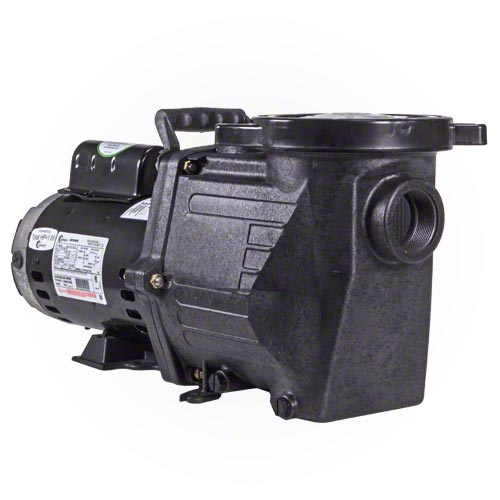 Waterway Champion 3 HP High Performance Pump - Energy Efficient & Quiet