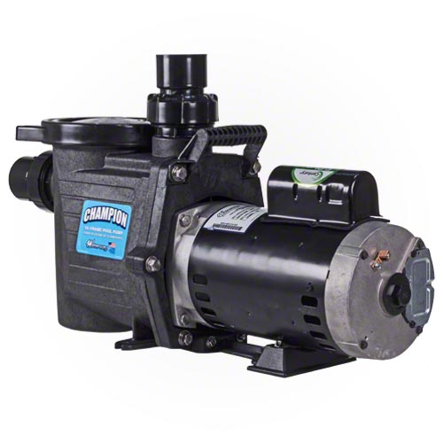 Waterway Champion 3 HP High Performance Pump - Energy Efficient & Quiet