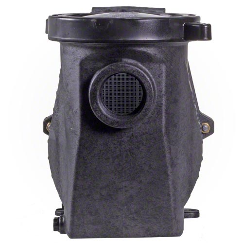 Waterway Champion 3 HP High Performance Pump - Energy Efficient & Quiet