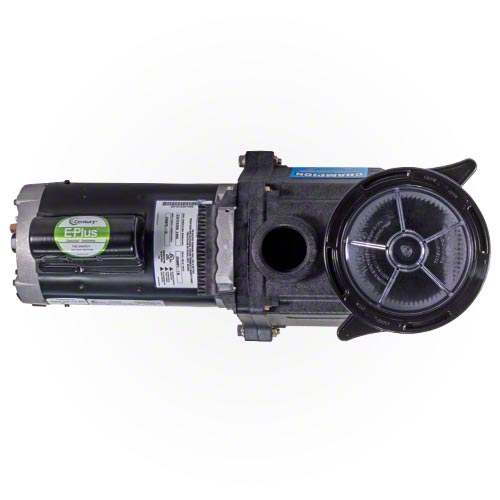 Waterway Champion 3 HP High Performance Pump - Energy Efficient & Quiet