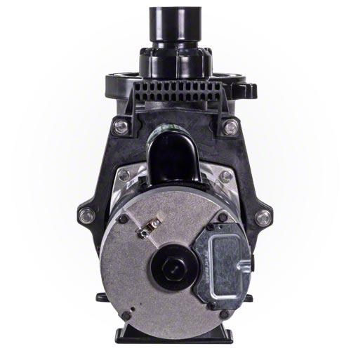 Waterway Champion 3 HP High Performance Pump - Energy Efficient & Quiet