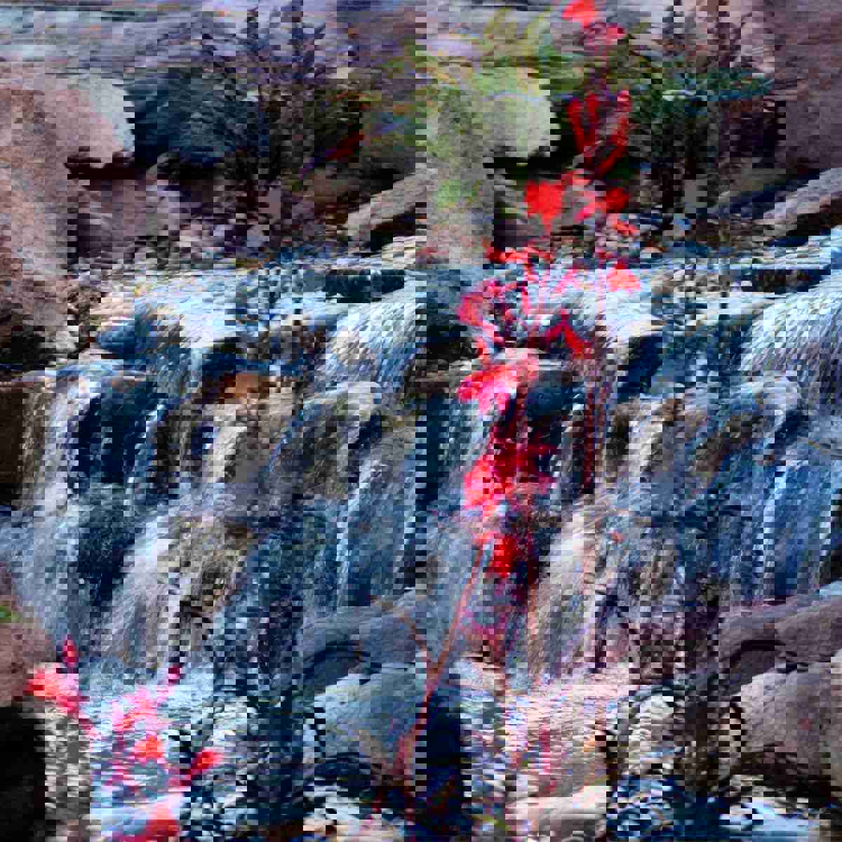 Atlantic Water Gardens TT2000 Energy Efficient Pond & Waterfall Pump, Black 2000 GPH